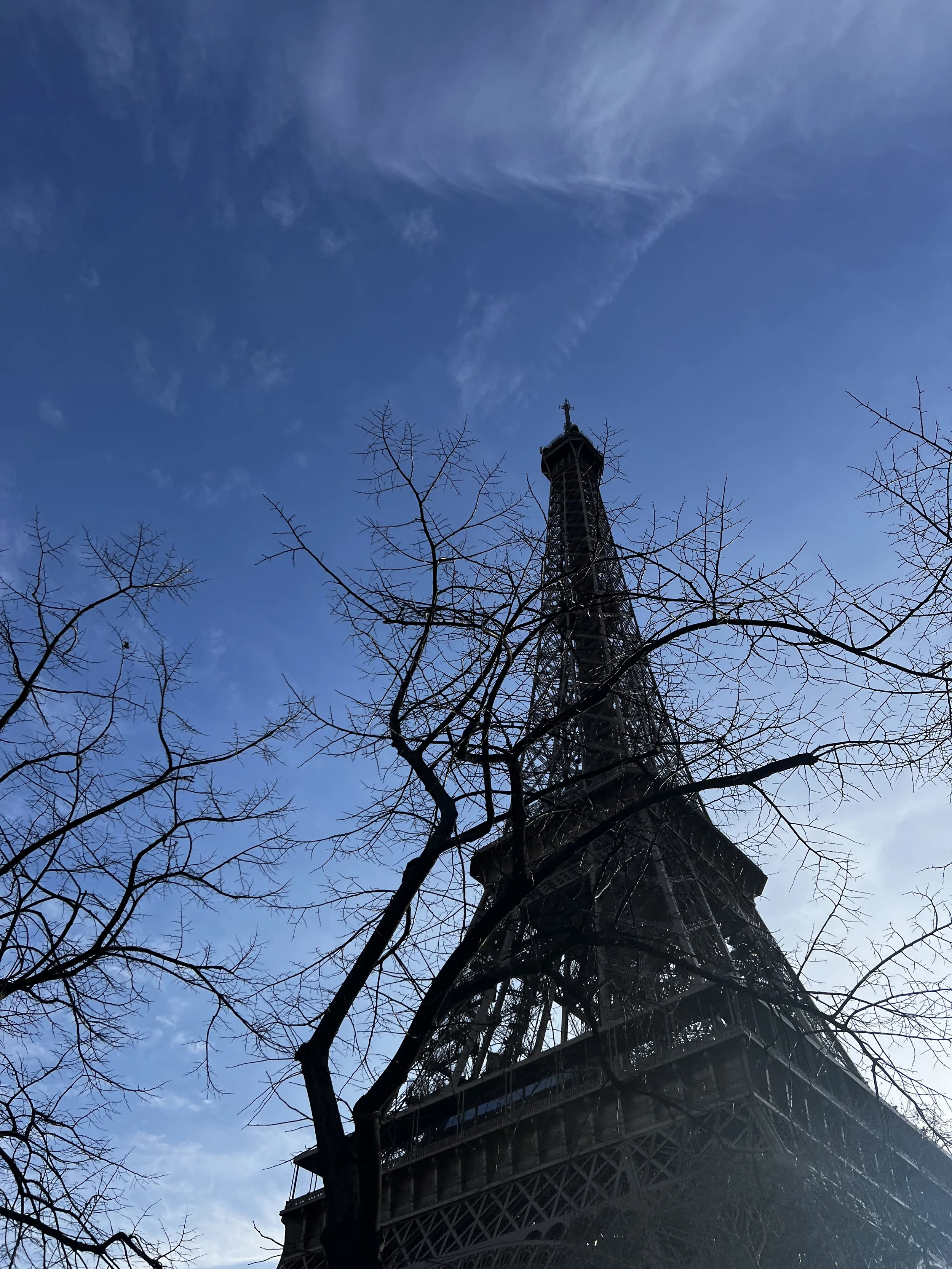 The Eiffel Tower in winter